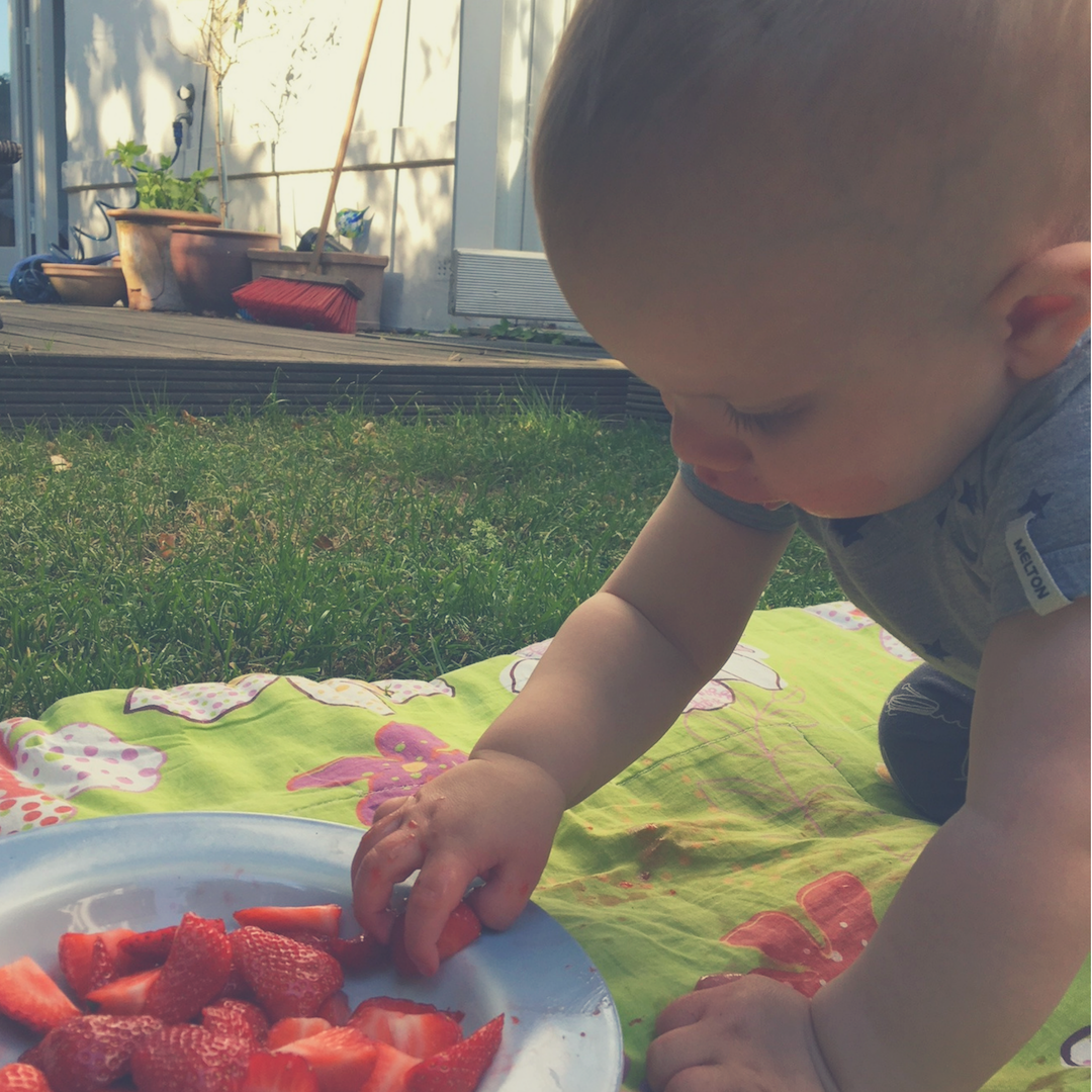 Baby Led Weaning – kein Brei.